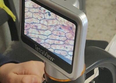 Didattica laboratoriale